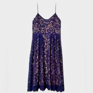 H&M Midnight Blue Lace Dress